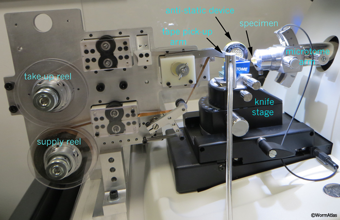 EMATUMFIG 3: Detailed view of ATUM device positioned by ultramicrotome